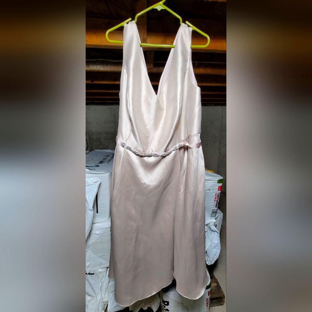 Oleg Cassini Dress